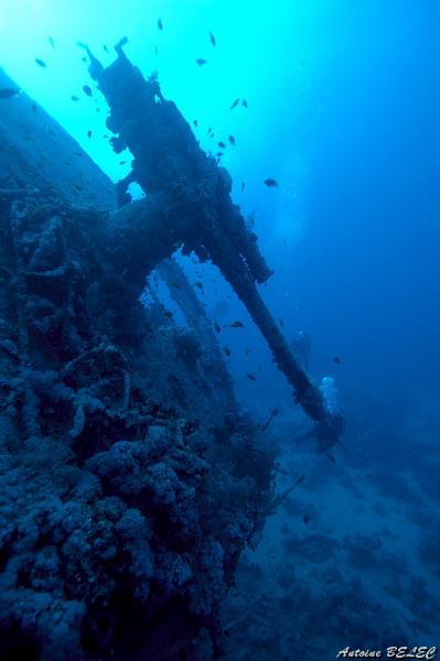b (2) thislegorm.jpg